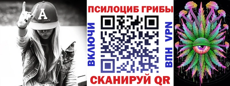 Купить  Мураши  Псилоцибиновые грибы мицелий 